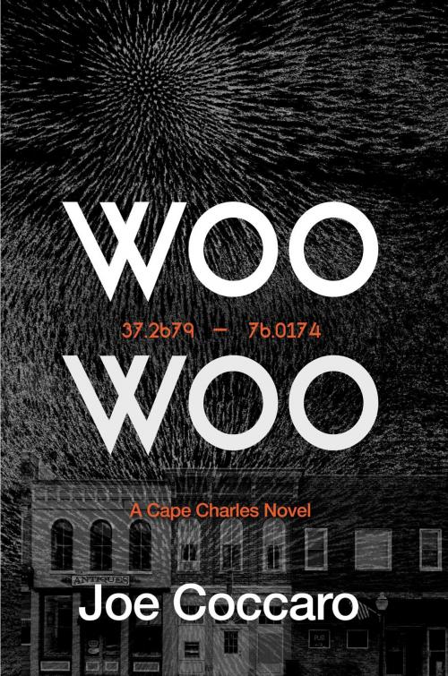 Cover of the book Woo Woo by Joe Coccaro, Koehler Books