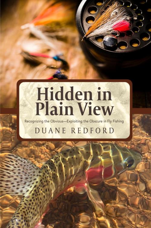 Cover of the book Hidden in Plain View by Duane Redford, Koehler Books
