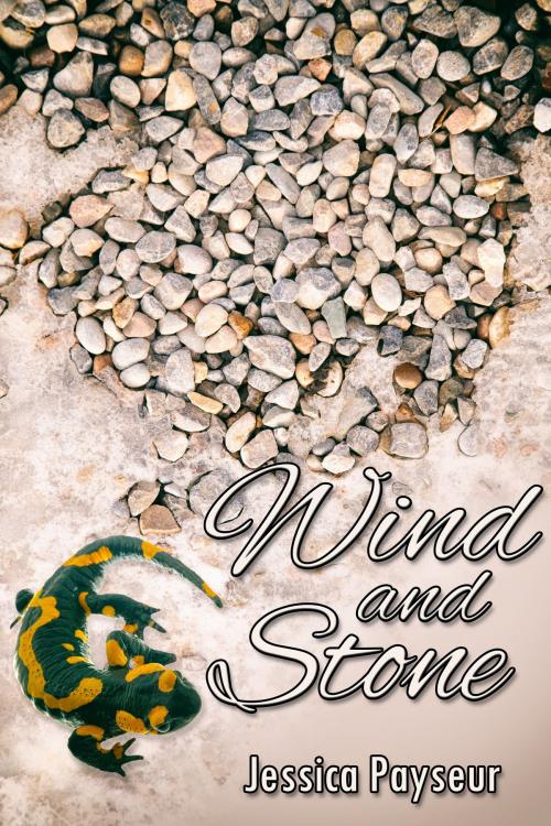 Cover of the book Wind and Stone by Jessica Payseur, JMS Books LLC