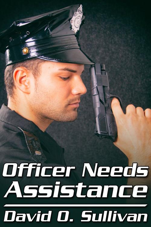 Cover of the book Officer Needs Assistance by David O. Sullivan, JMS Books LLC
