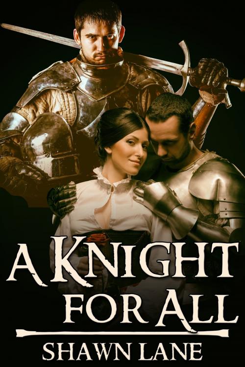 Cover of the book A Knight for All by Shawn Lane, JMS Books LLC
