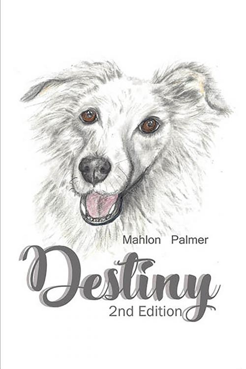Cover of the book Destiny by Mahlon Palmer, BookVenture Publishing LLC