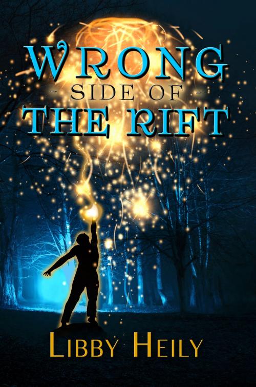 Cover of the book Wrong Side of the Rift by Libby Heily, Nancy Schumacher