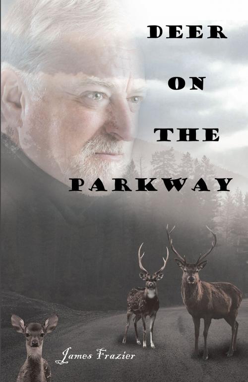 Cover of the book Deer on the Parkway by James Frazier, Page Publishing, Inc.