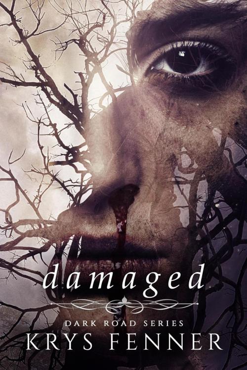 Cover of the book Damaged by Krys Fenner, Krys Fenner