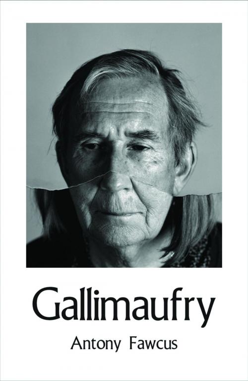 Cover of the book Gallimaufry by Antony Fawcus, Ginninderra Press