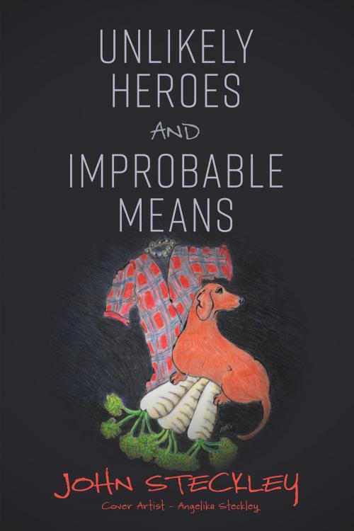Cover of the book Unlikely Heroes and Improbable Means by John Steckley, Tellwell Talent