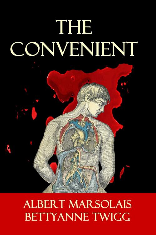Cover of the book The Convenient by Bettyanne Twigg, Albert Marsolais, Albert Marsolais