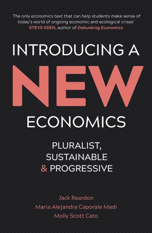 Cover of the book Introducing a New Economics by Jack Reardon, Maria Alejandra Caporale Madi, Molly Scott Cato, Pluto Press