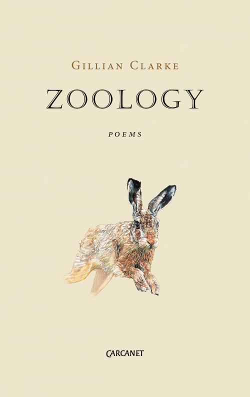 Cover of the book Zoology by Gillian Clarke, Carcanet Press Ltd.