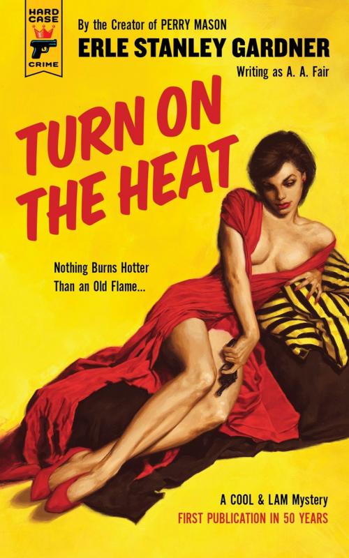 Cover of the book Turn on the Heat by Erle Stanley Gardner, Titan