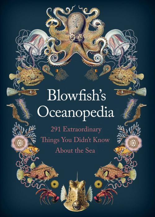 Cover of the book Blowfish's Oceanopedia by Tom 'The Blowfish' Hird, Atlantic Books