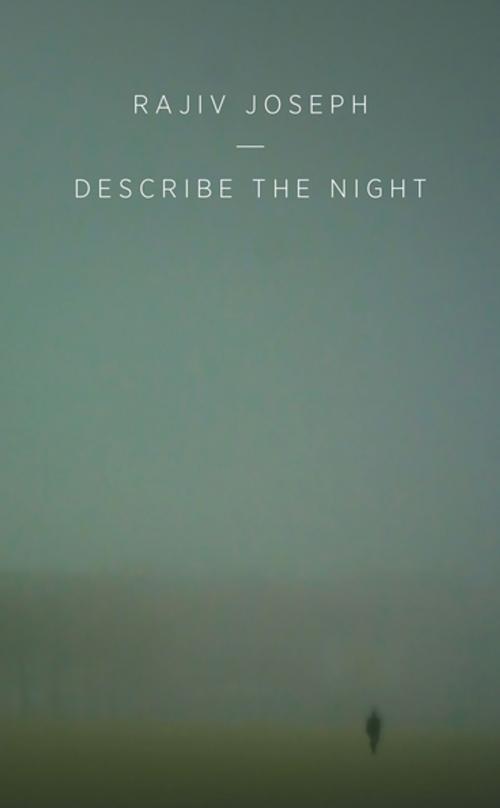 Cover of the book Describe the Night by Rajiv Joseph, Oberon Books