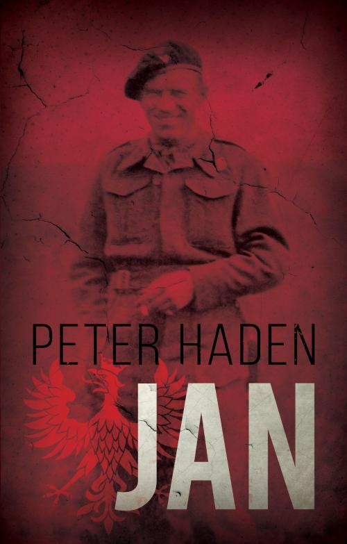 Cover of the book Jan by Peter Haden, Troubador Publishing Ltd