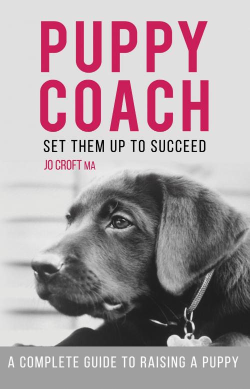 Cover of the book Puppy Coach by Jo Croft MA, Troubador Publishing Ltd