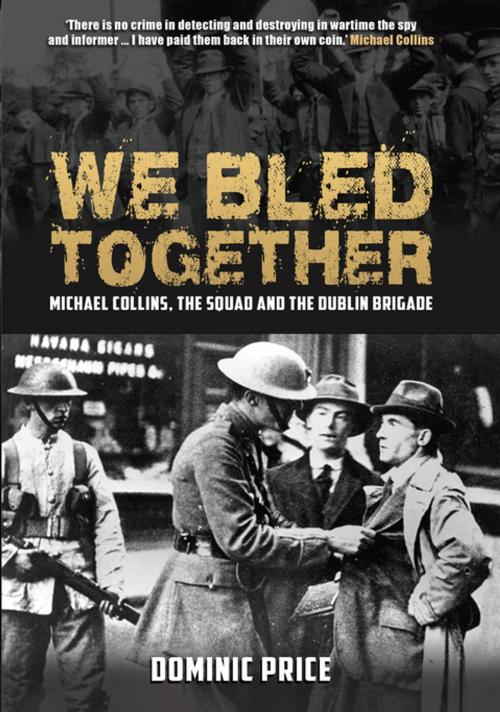 Cover of the book We Bled Together by Dominic Price, Gill Books