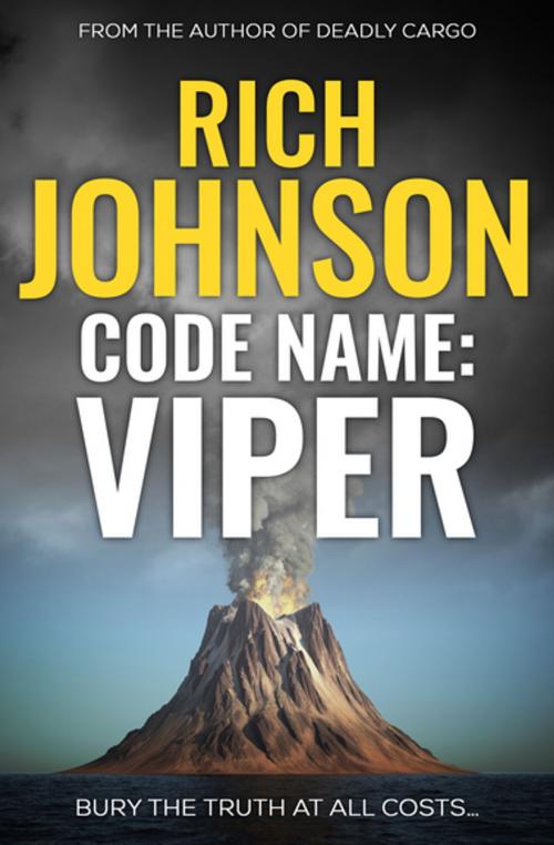 Cover of the book Code Name: Viper by Rich Johnson, Endeavour Media