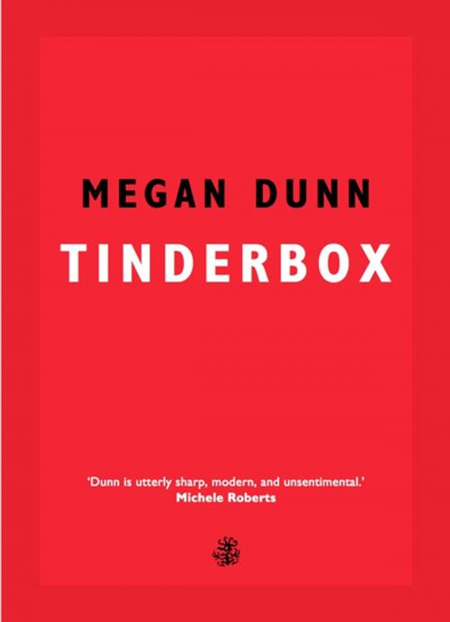 Cover of the book Tinderbox by Megan Dunn, Galley Beggar Press