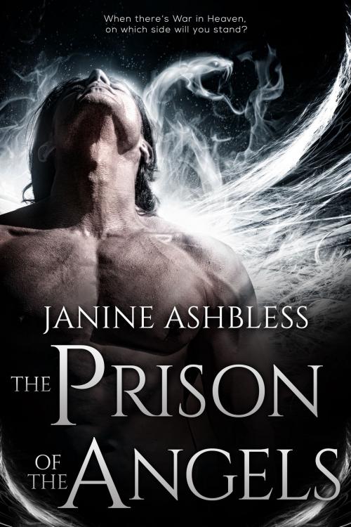 Cover of the book The Prison of the Angels by Janine Ashbless, Sinful Press