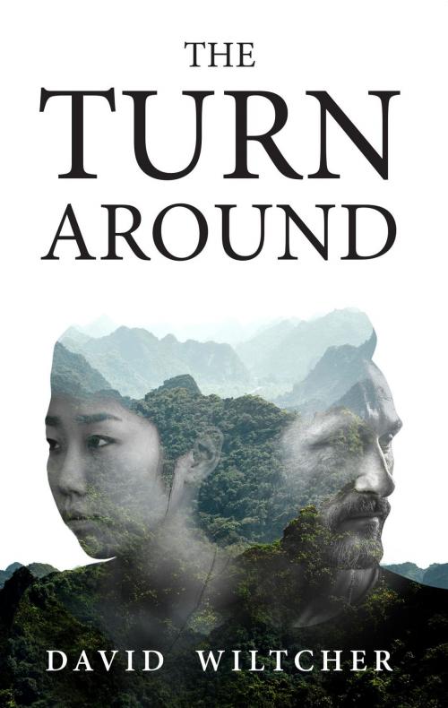 Cover of the book The Turn Around by David Wiltcher, Spiderwize