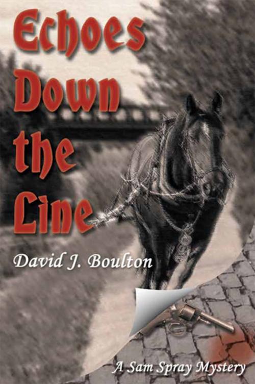 Cover of the book Echoes Down the Line by David J Boulton, Melrose Books