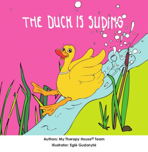 Cover of the book The Duck is Sliding by My Therapy House Team, My Therapy House