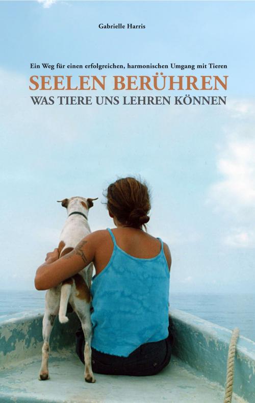 Cover of the book Seelen berühren by Gabrielle Harris, Robin Beck