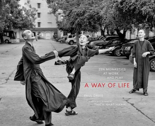 Cover of the book A Way of Life by , Parallax Press