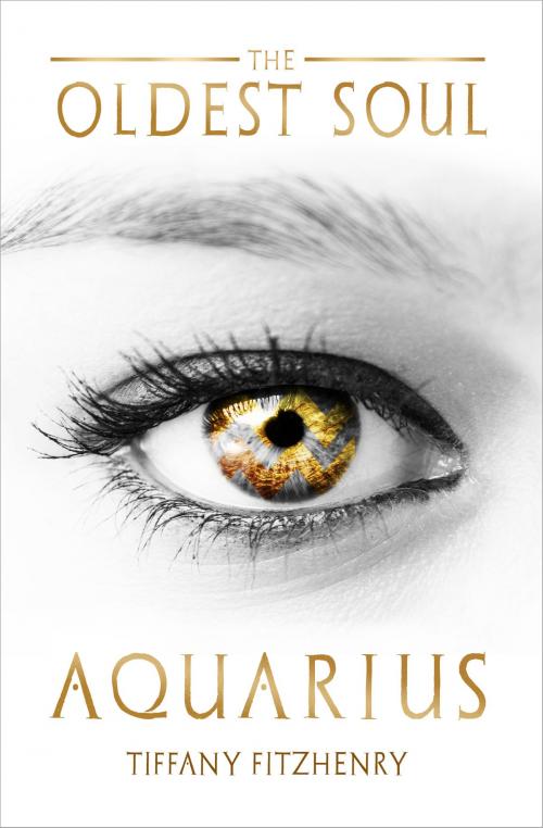 Cover of the book The Oldest Soul - Aquarius by Tiffany FitzHenry, Hierarchy Publishing