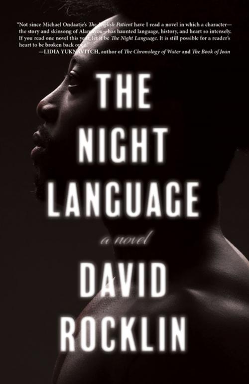 Cover of the book The Night Language by David Rocklin, Rare Bird Books
