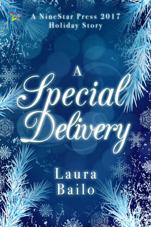 Cover of the book A Special Delivery by Laura Bailo, Nine Star Press