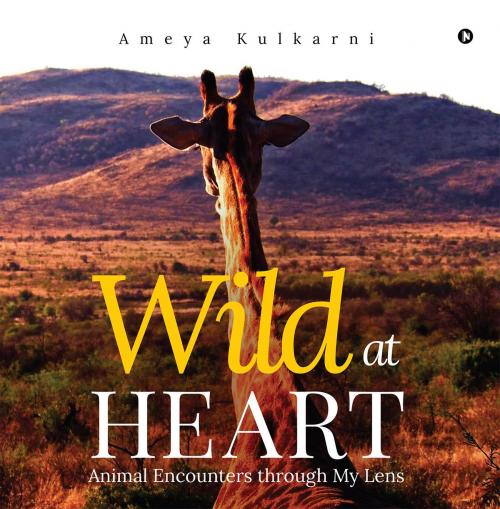 Cover of the book Wild at Heart by Ameya Kulkarni, Notion Press