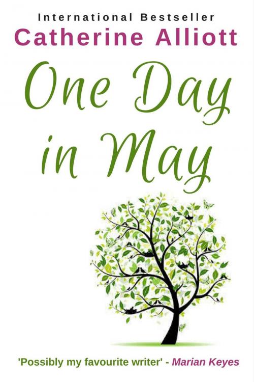 Cover of the book One Day In May by Catherine Alliott, No Shooz Publishing