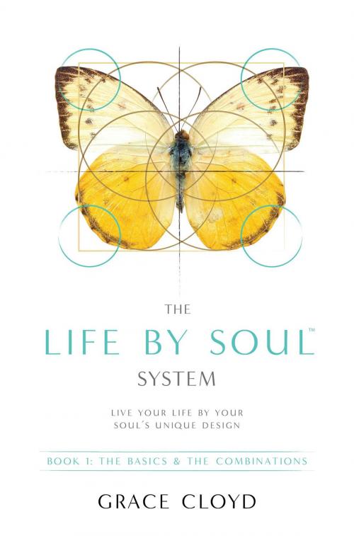 Cover of the book The Life by Soul™ System by Grace Cloyd, Toplink Publishing, LLC