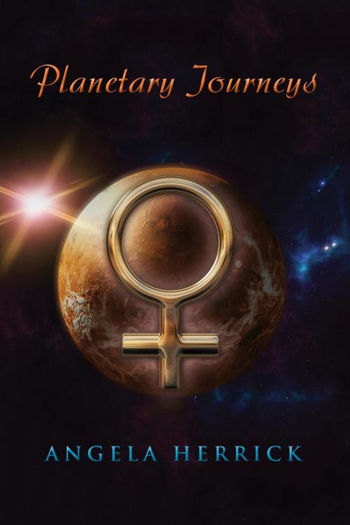 Cover of the book Planetary Journeys by Angela Herrick, Toplink Publishing, LLC