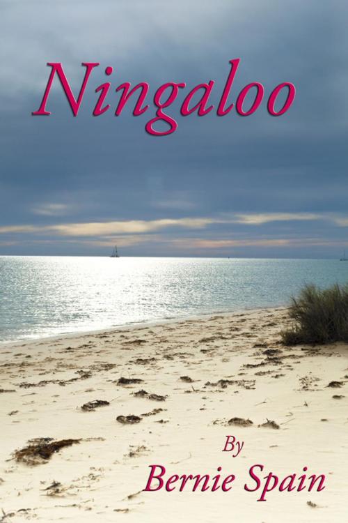 Cover of the book Ningaloo by Bernie Spain, Bernie Spain