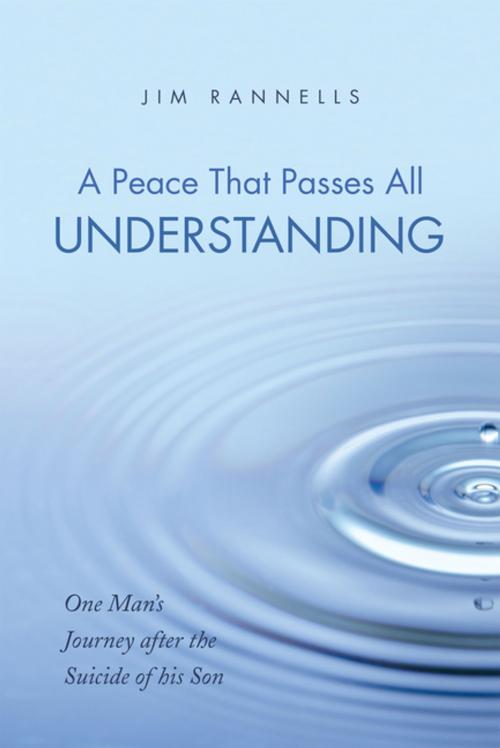 Cover of the book A Peace That Passes All Understanding by Jim Rannells, WestBow Press