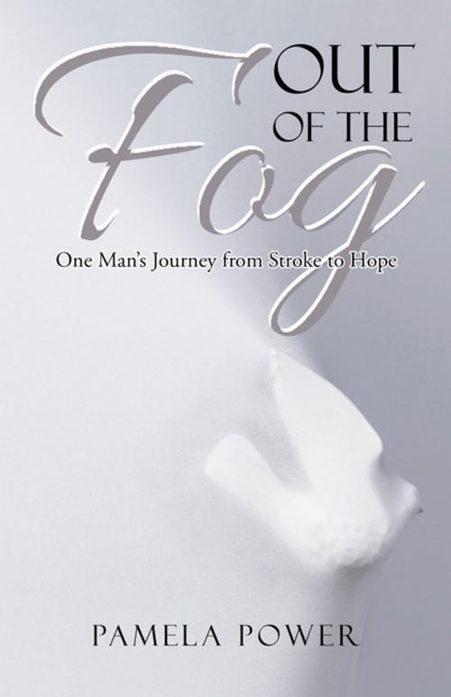 Cover of the book Out of the Fog by Pamela Power, WestBow Press