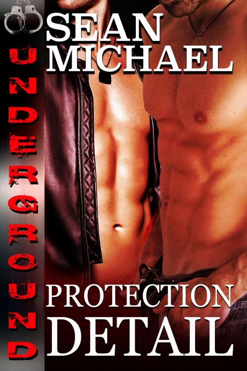 Cover of the book Protection Detail by Sean Michael, Sean Michael