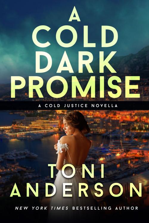 Cover of the book A Cold Dark Promise by Toni Anderson, Toni Anderson