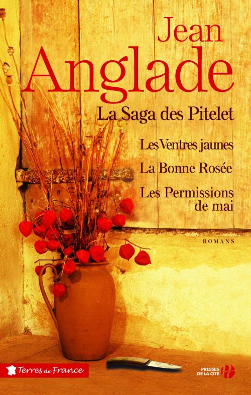 Cover of the book La saga des Pitelet by Jean ANGLADE, Place des éditeurs