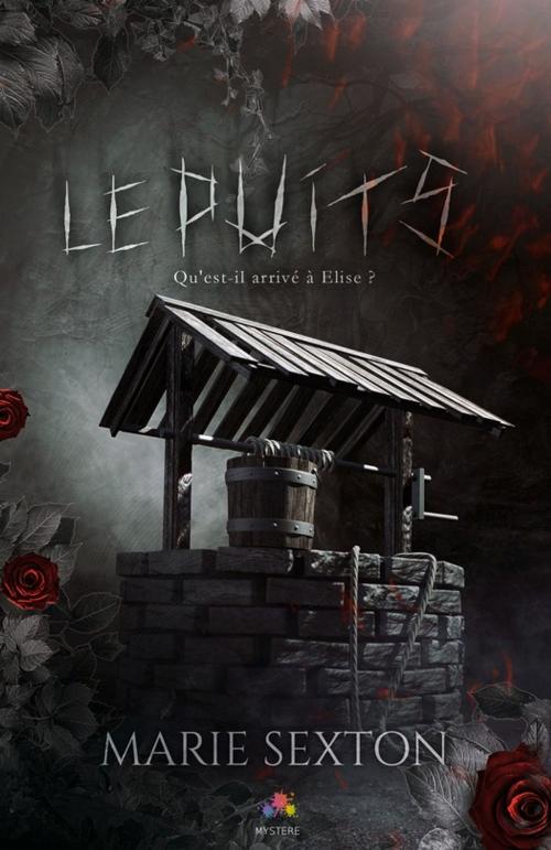 Cover of the book Le puits by Marie Sexton, MxM Bookmark