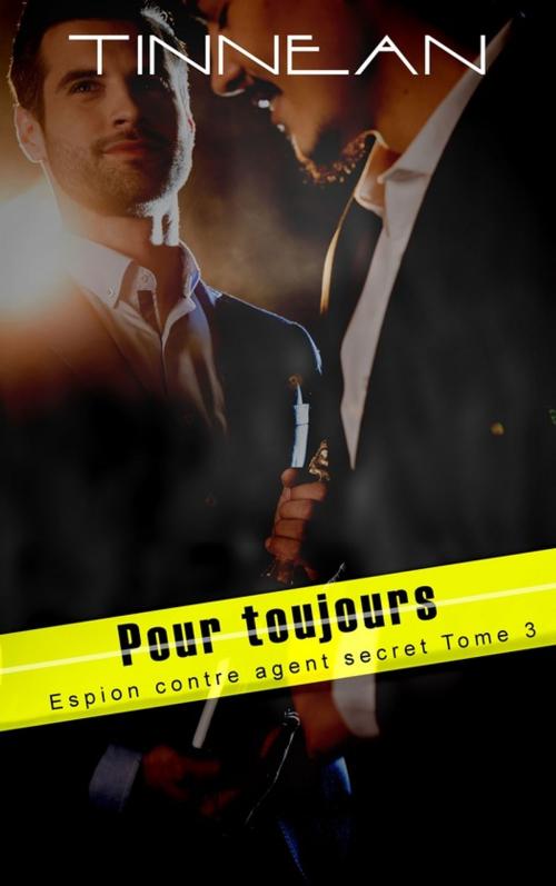 Cover of the book Pour toujours by Tinnean, Juno Publishing