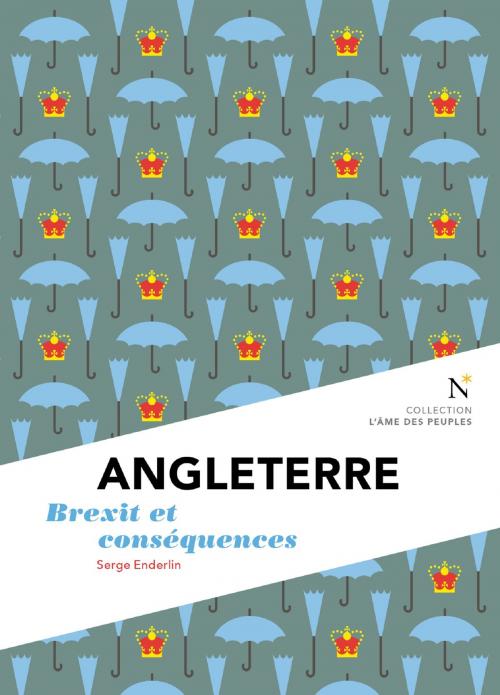 Cover of the book Angleterre : Brexit et conséquences by Serge Enderlin, Nevicata