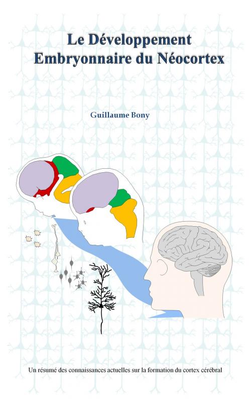 Cover of the book Le développement embryonnaire du néocortex by Guillaume Bony, Guillaume Bony