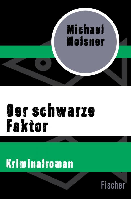 Cover of the book Der schwarze Faktor by Michael Molsner, FISCHER Digital