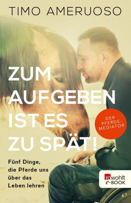 Cover of the book Zum Aufgeben ist es zu spät! by Timo Ameruoso, Rowohlt E-Book