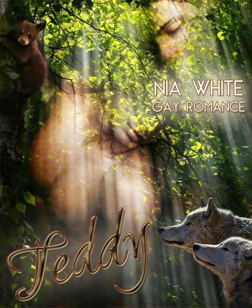Cover of the book Teddy by Nia White, BookRix