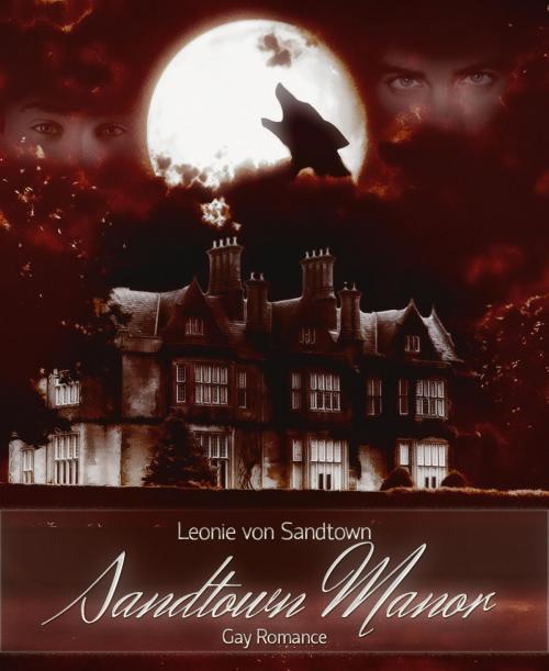 Cover of the book Sandtown Manor by Leonie von Sandtown, BookRix