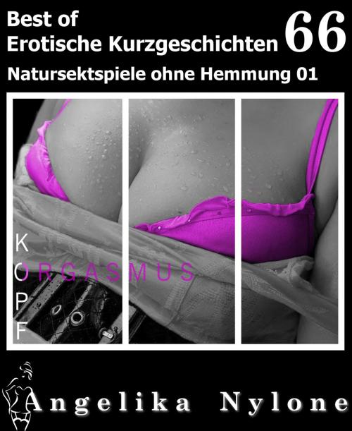 Cover of the book Erotische Kurzgeschichten - Best of 66 by Angelika Nylone, neobooks